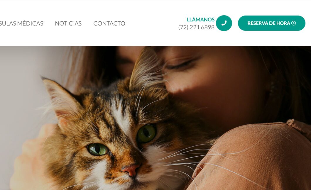 Un sitio web con reserva de horas